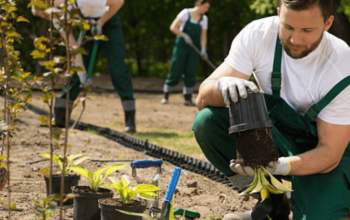 Gardening and Landscaping Services Award Guide [MA000101]