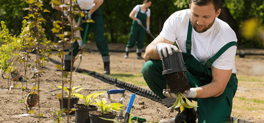 Gardening and Landscaping Services Award Guide [MA000101]