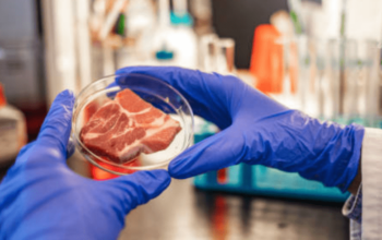 Meat Industry Award Guide [MA000059]