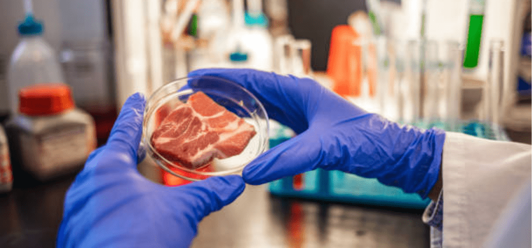 Meat Industry Award Guide [MA000059]
