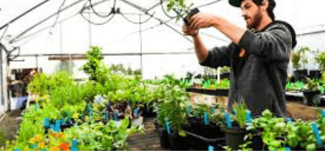 Horticulture Award Guide [MA000028]