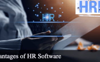 Best HR Software to Manage Employee Data